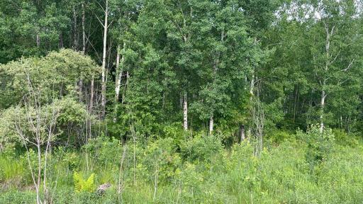 TBD Sandhill Crane Ln, Pine City, MN 55063