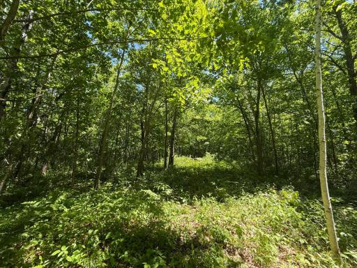 TBD Sandhill Crane Ln, Pine City, MN 55063