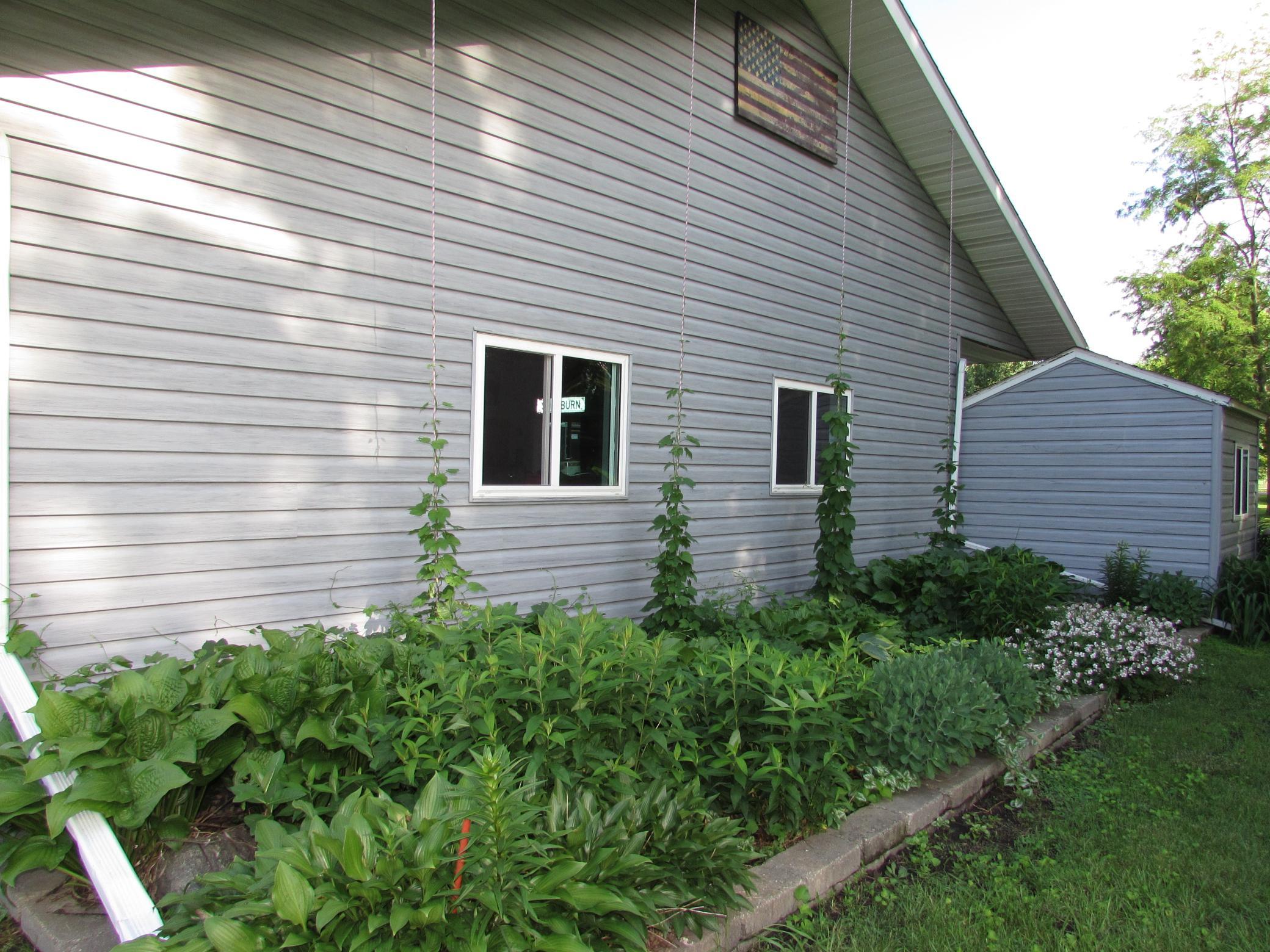 Hop Vines