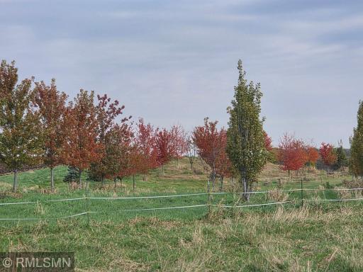 18222 484th Lane, Waterville, MN 56096