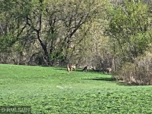 18222 484th Lane, Waterville, MN 56096