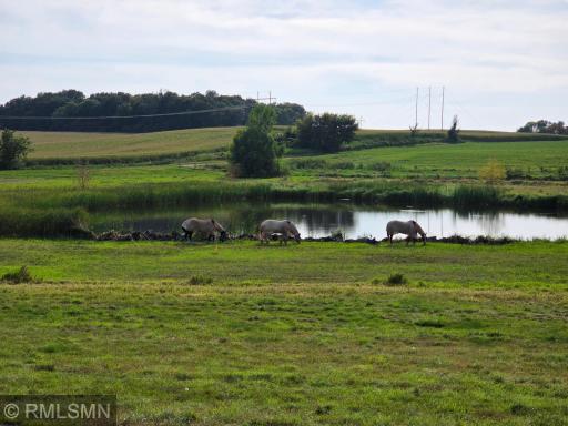 18222 484th Lane, Waterville, MN 56096