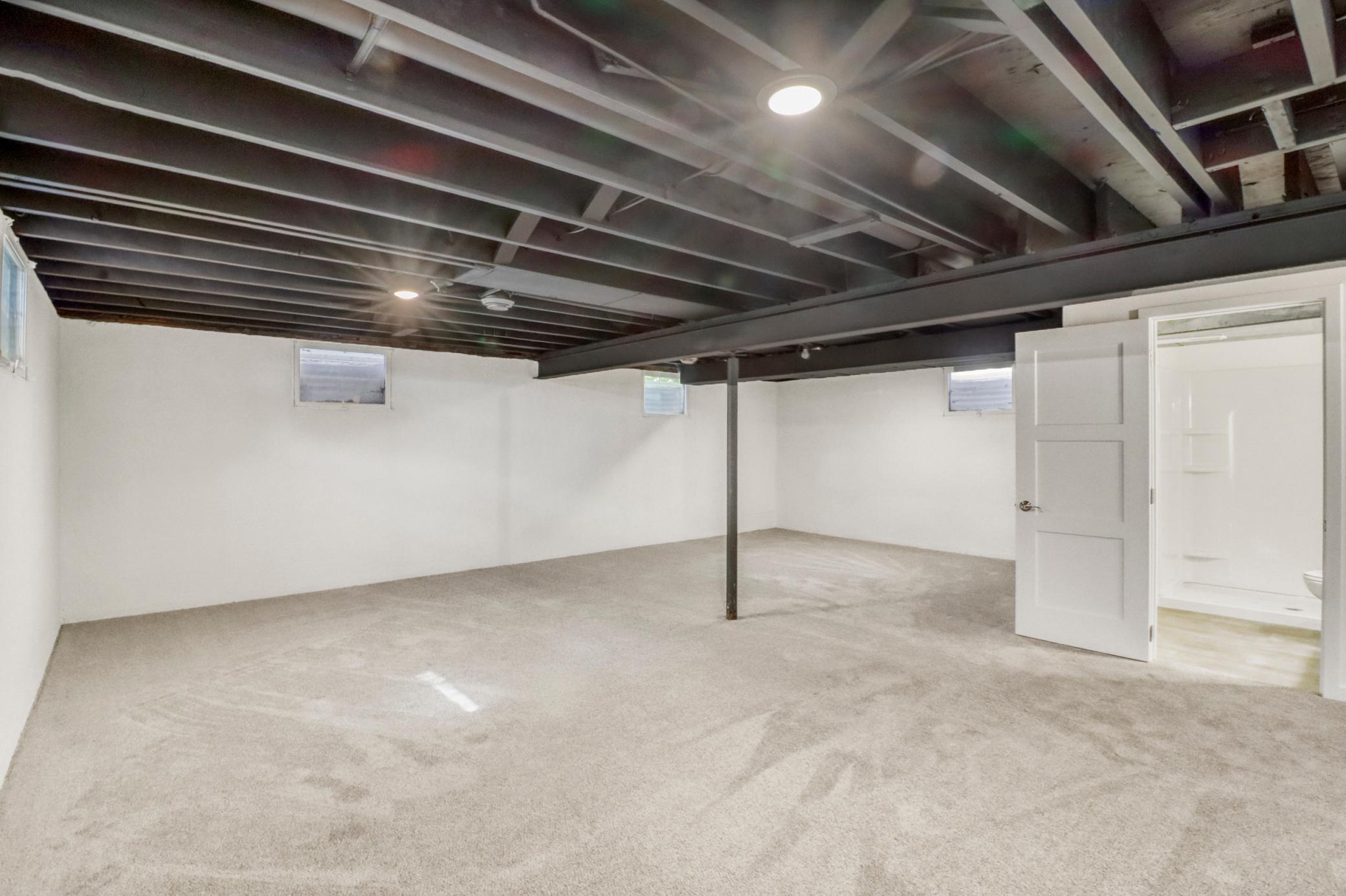 Basement1_1-3264.JPG