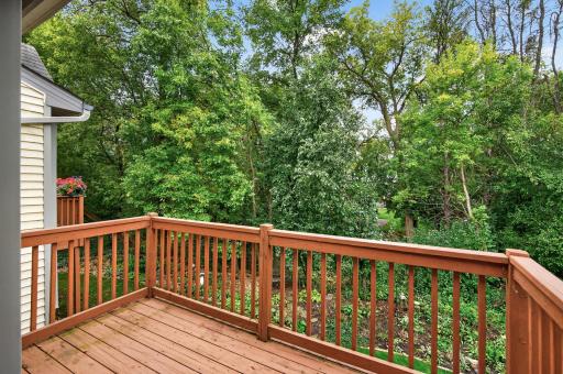 Deck with peaceful views of the surrounding greenery.