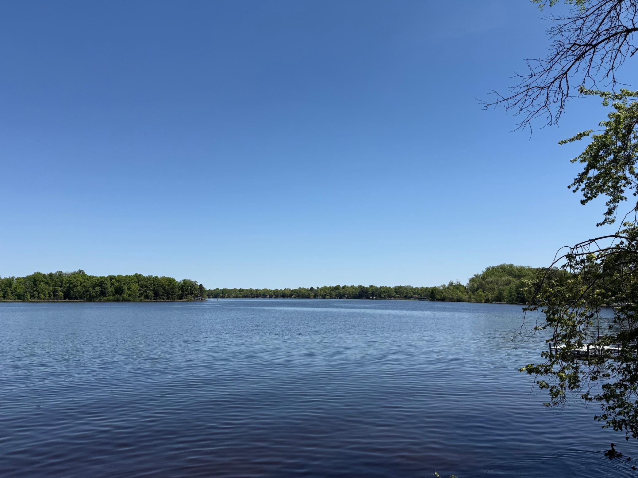 IMG_2150.JPG