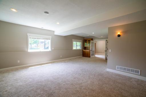 Lower level family room
