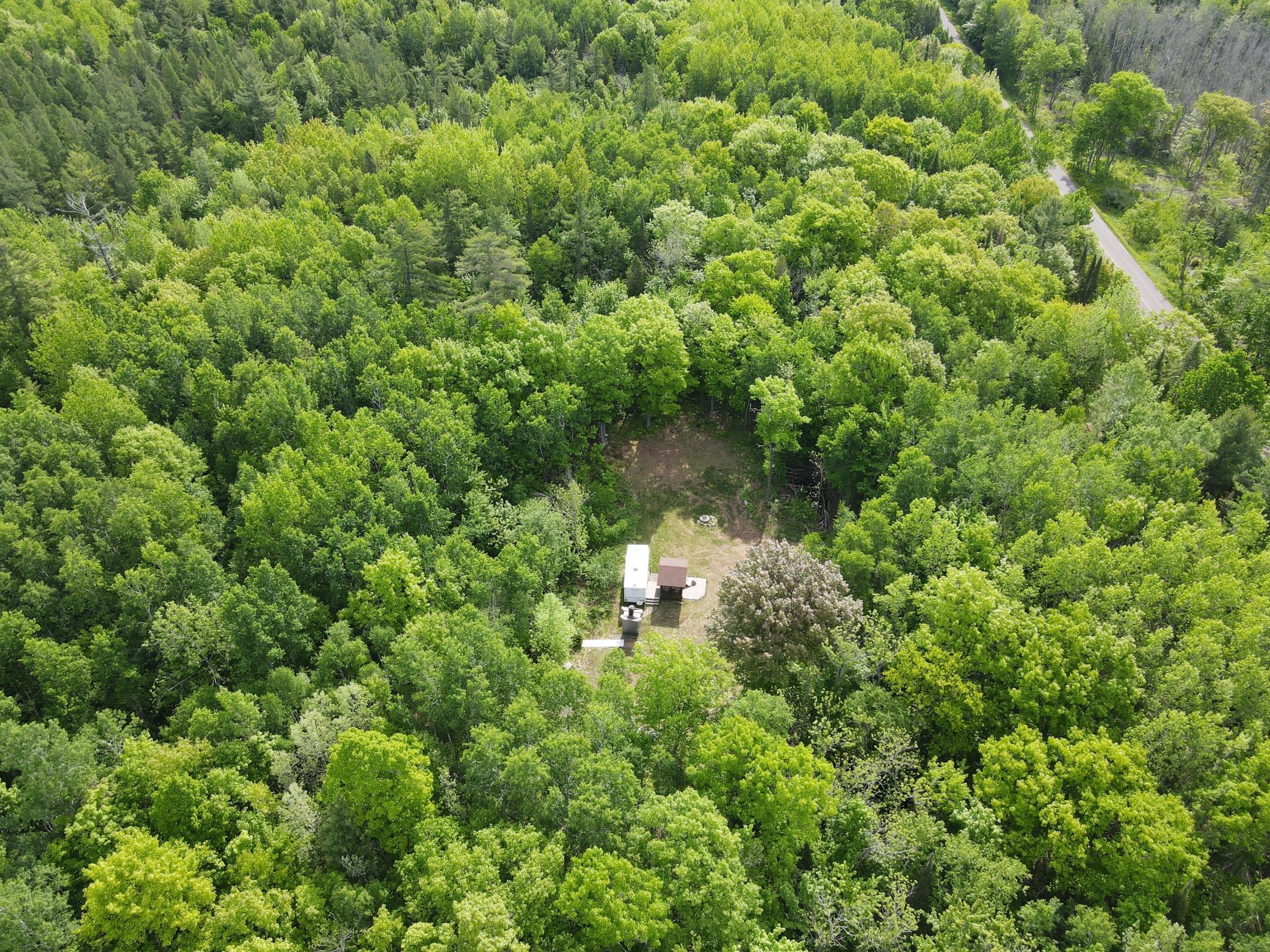 Awesome clearing in the forest