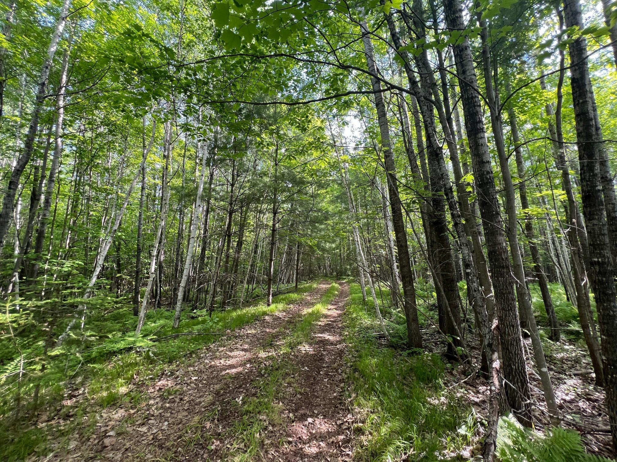 Trails