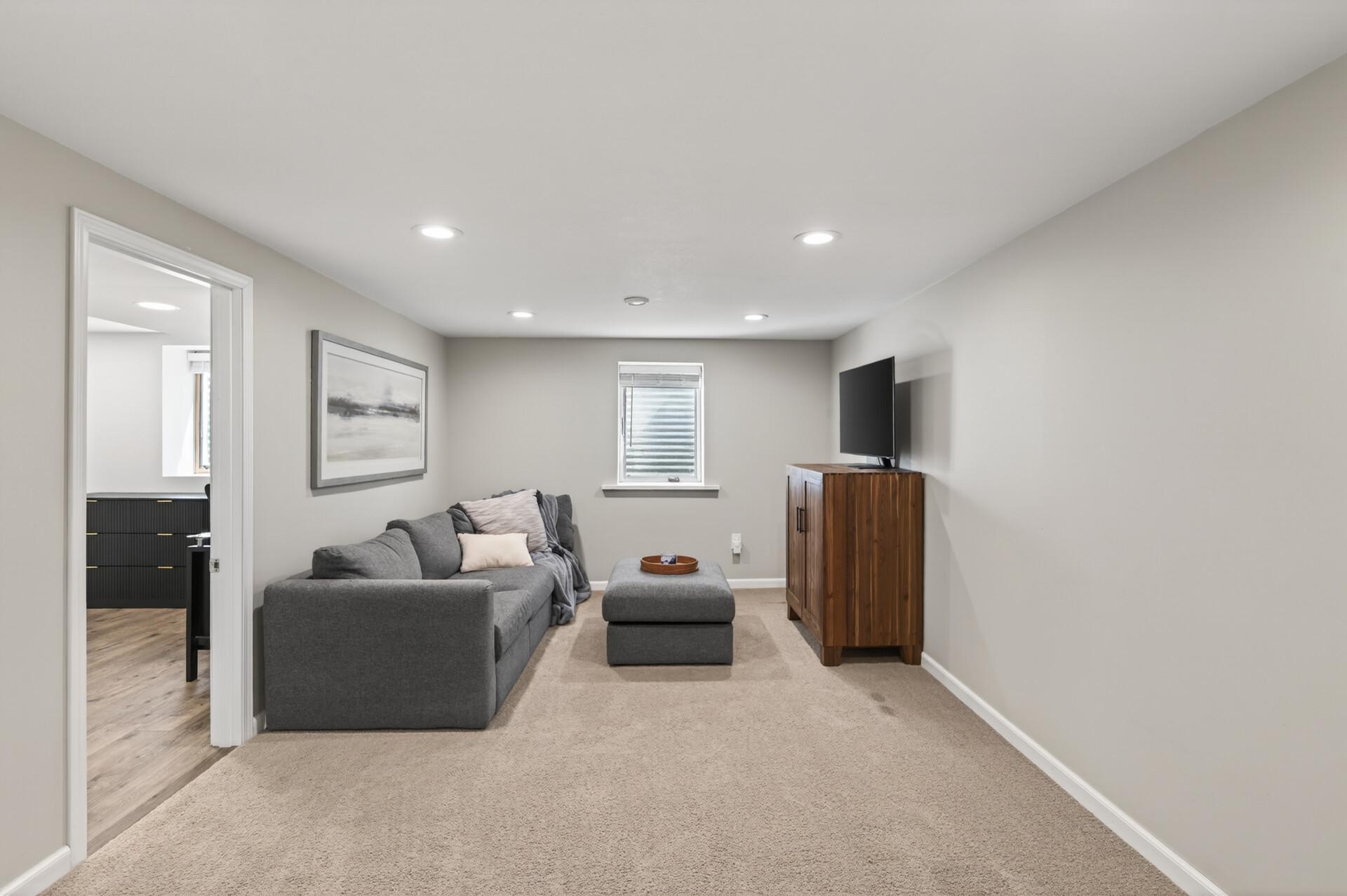Spacious Lower Level Family Room