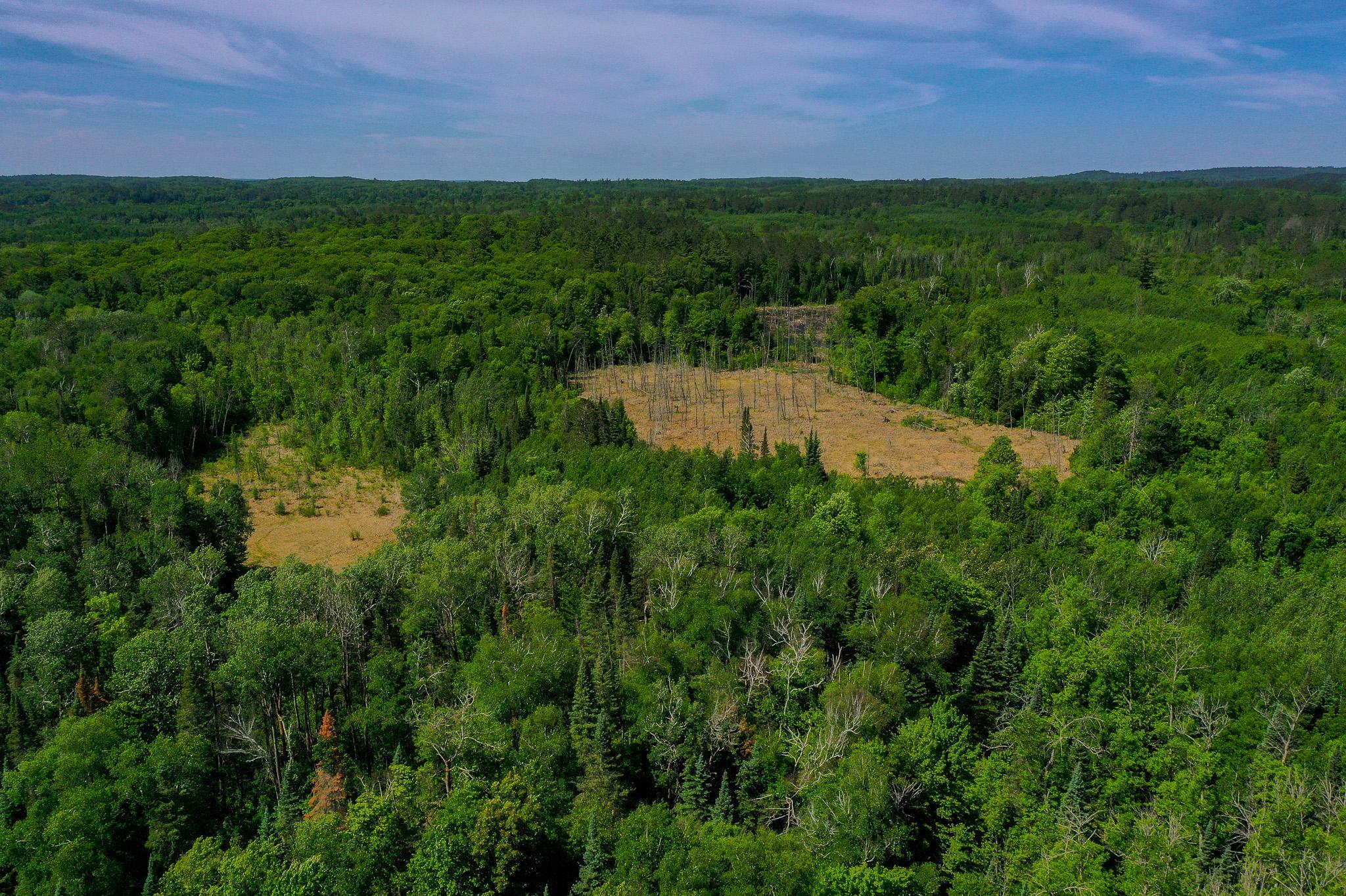 DJI_0715.jpg