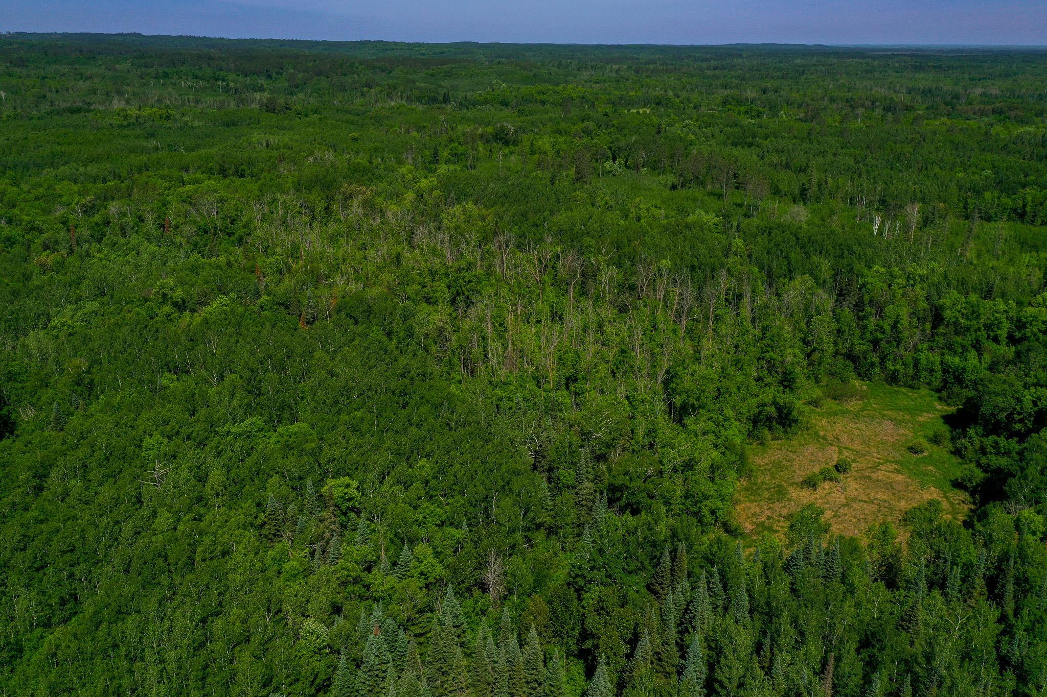 Property photo for TBD County Highway 47, Osage, MN 56570