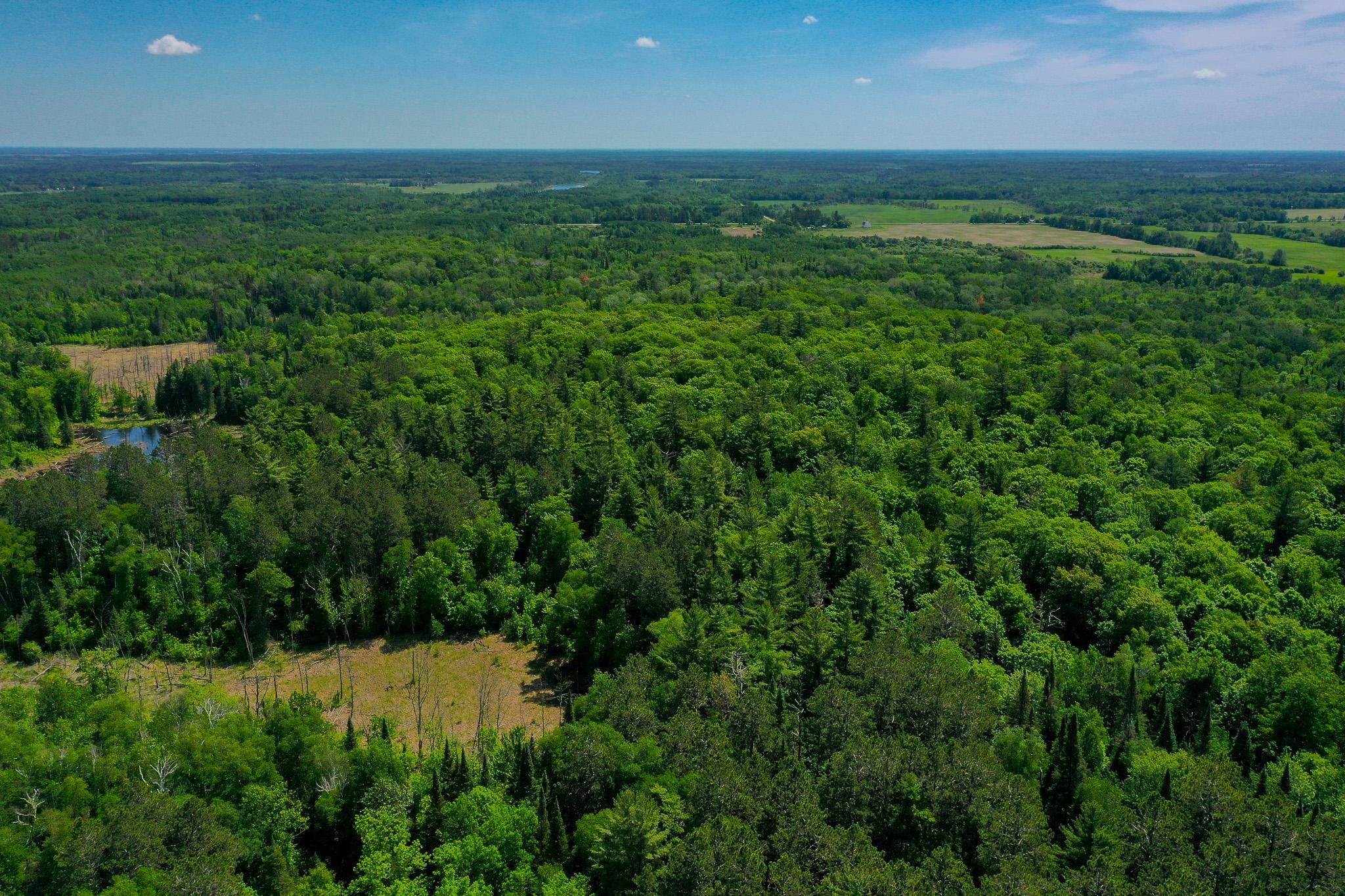 DJI_0753.jpg