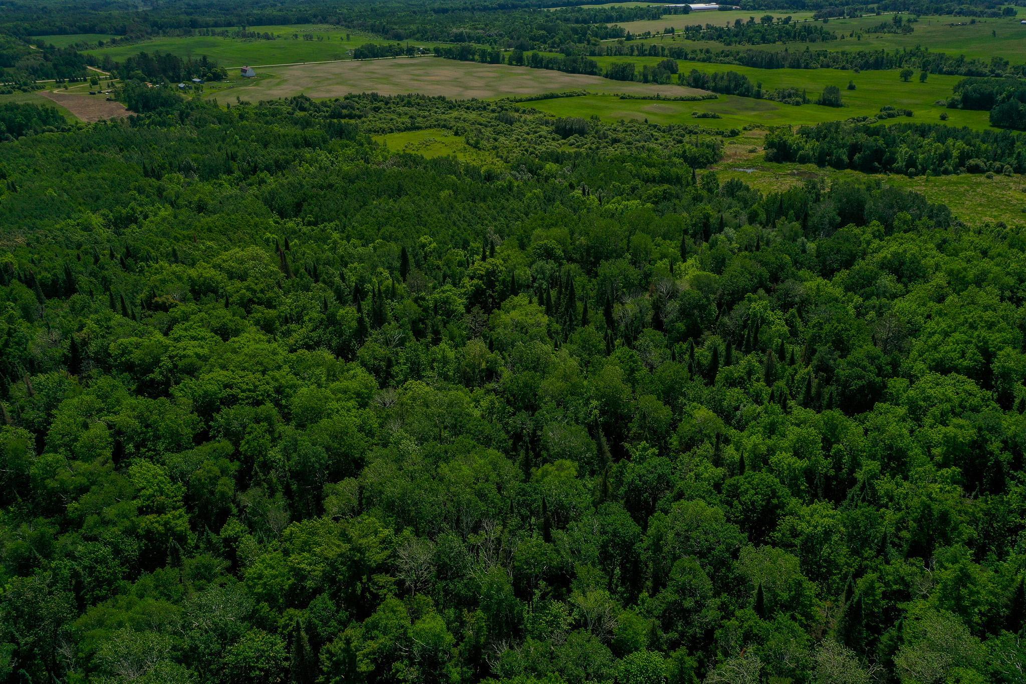 DJI_0745.jpg