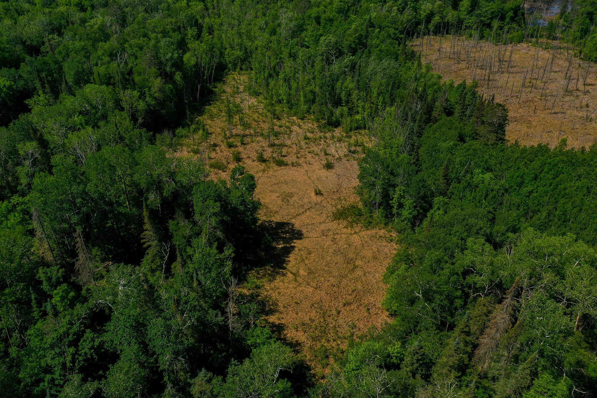 DJI_0716.jpg