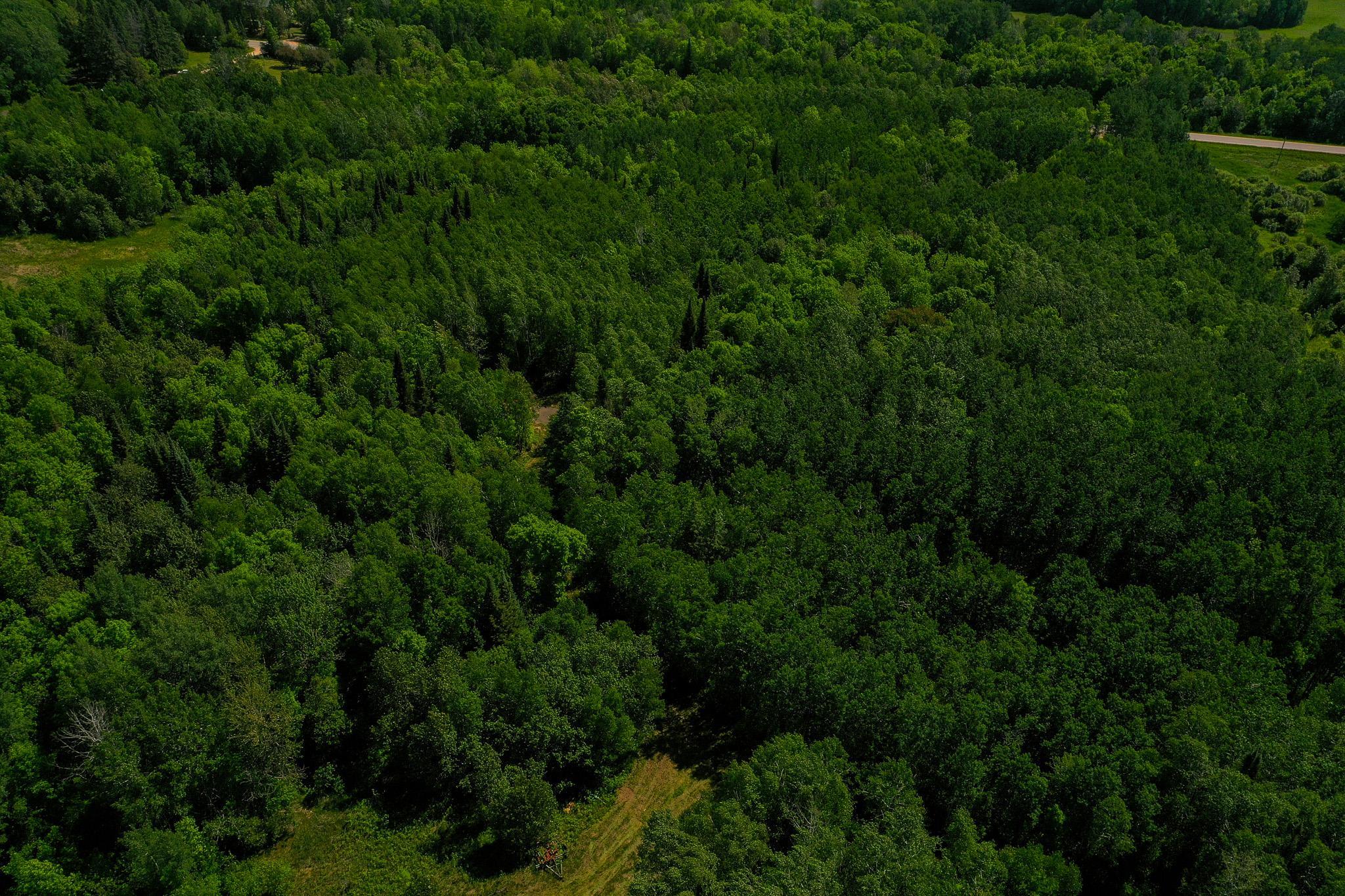 DJI_0731.jpg