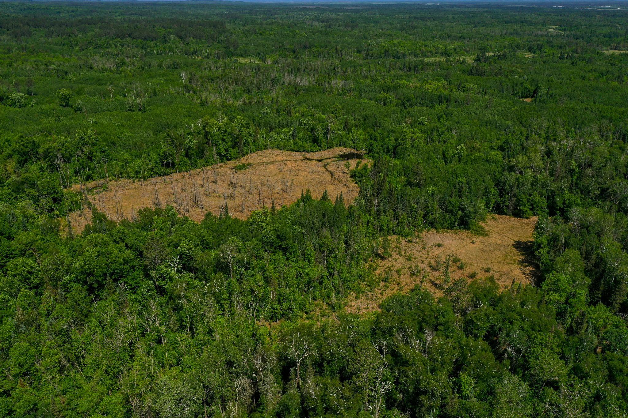 DJI_0744.jpg