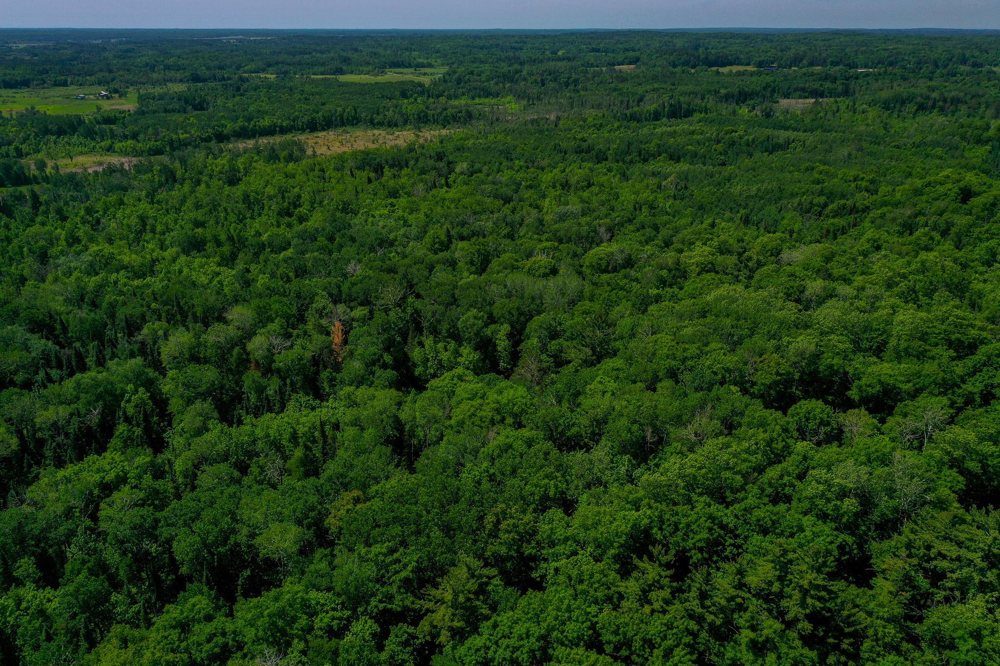 DJI_0746.jpg