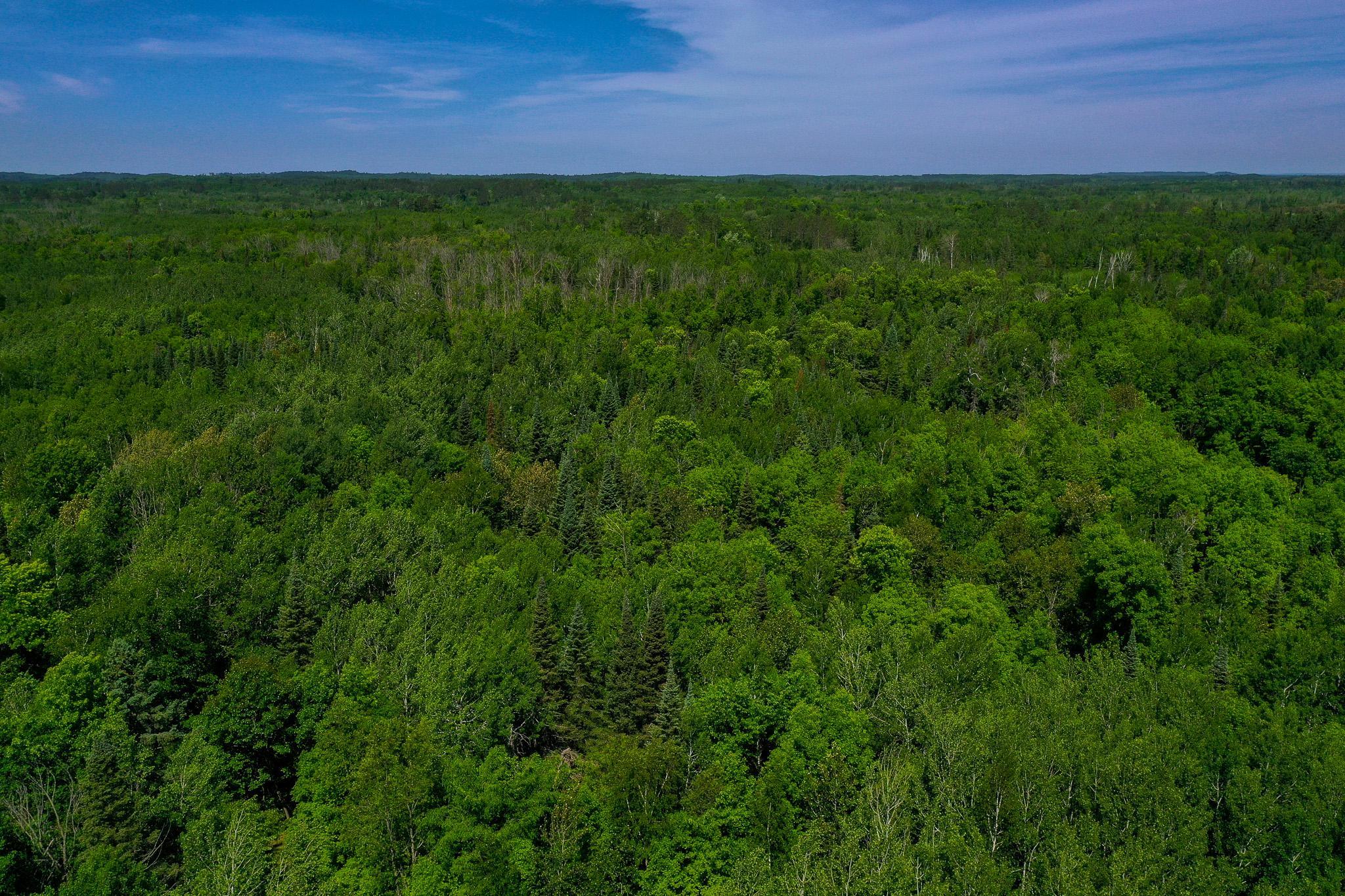 DJI_0733.jpg