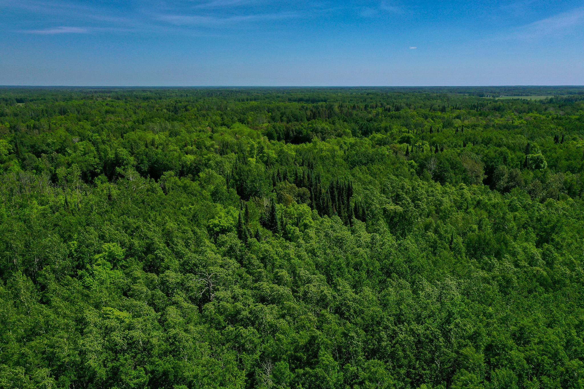 DJI_0721.jpg