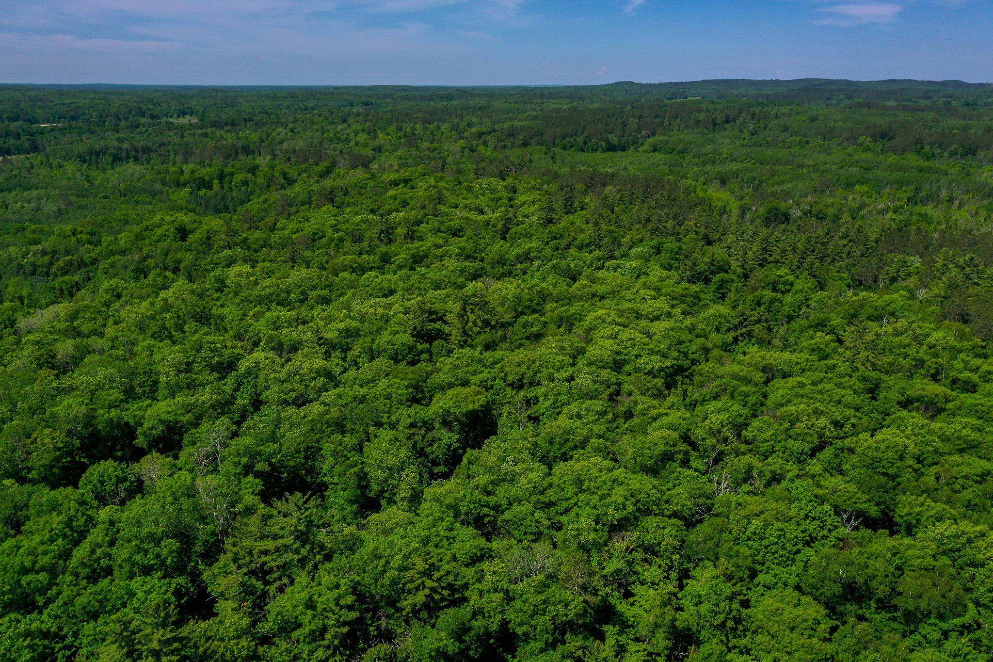 DJI_0747.jpg