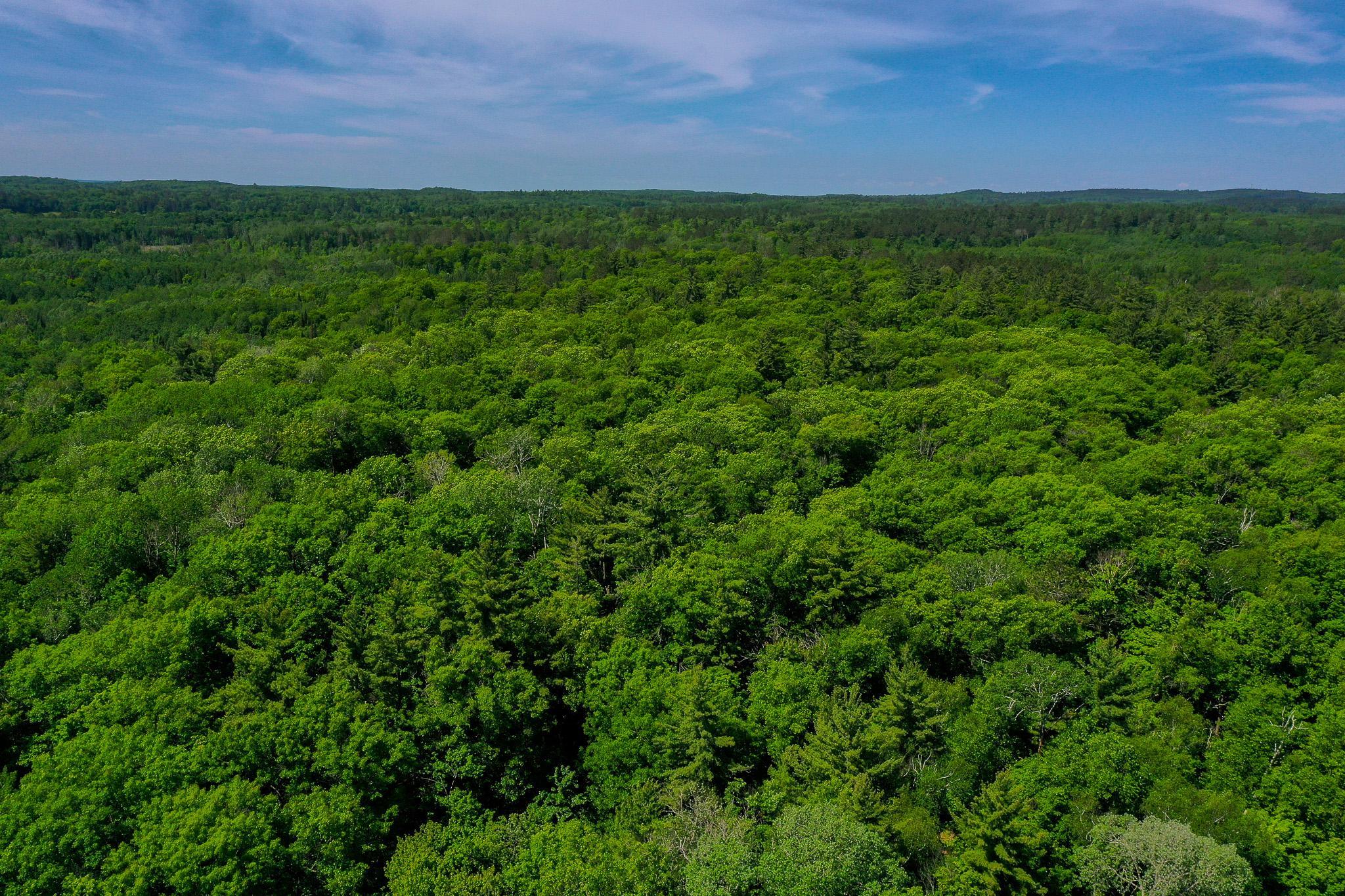 DJI_0743.jpg