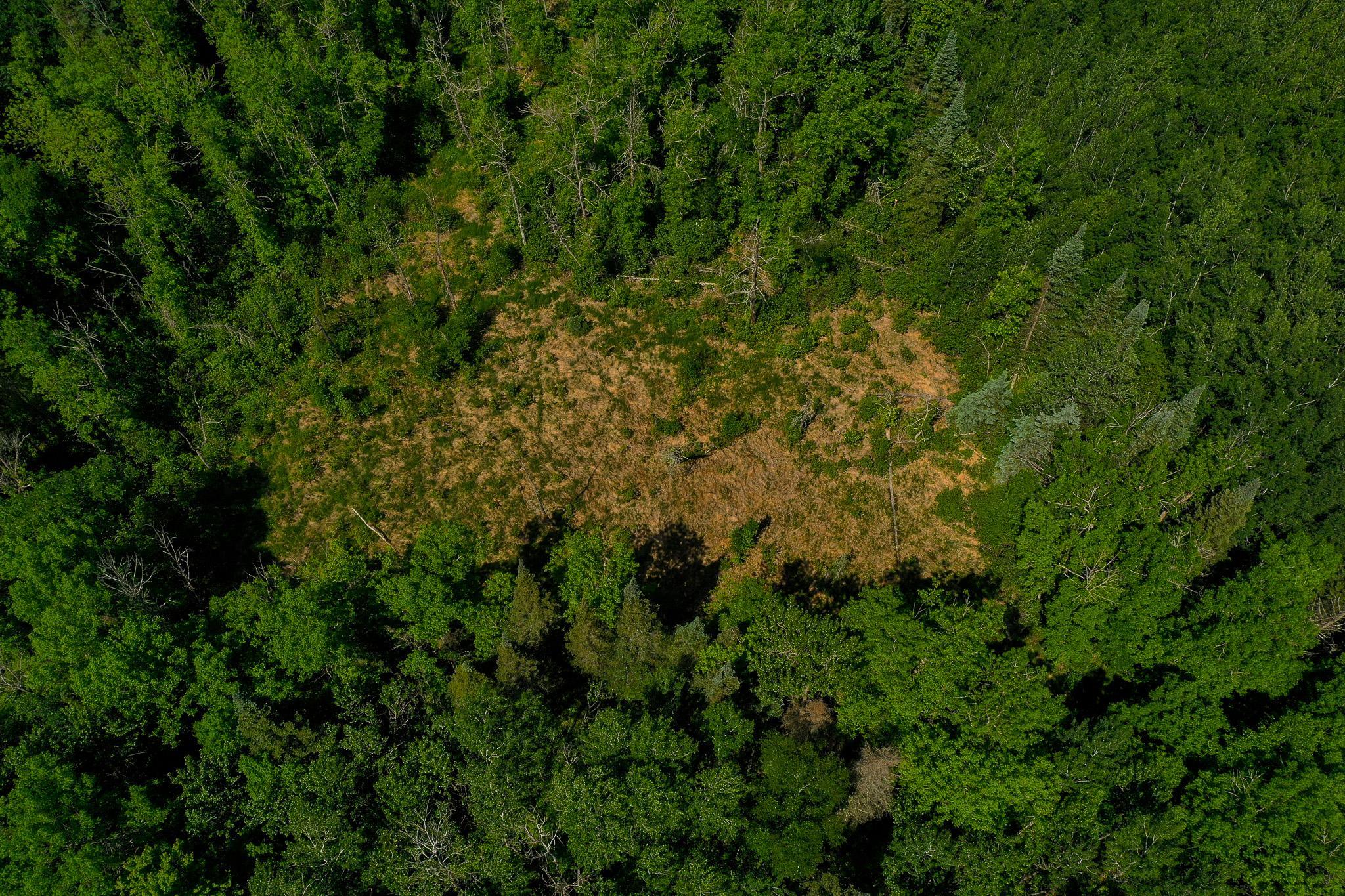 DJI_0712.jpg