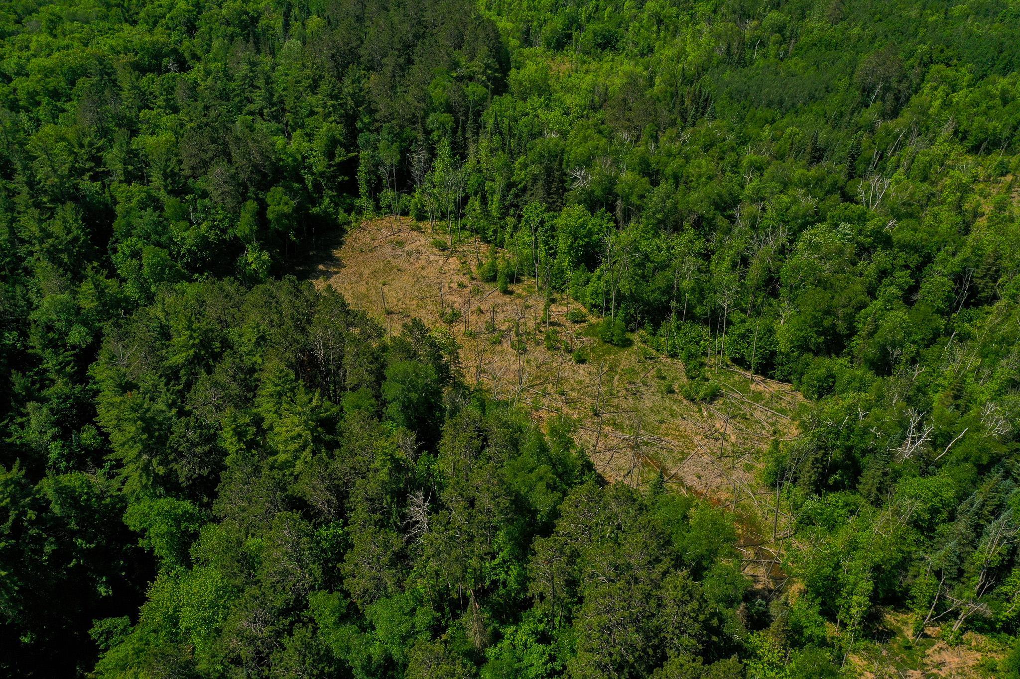 DJI_0751.jpg