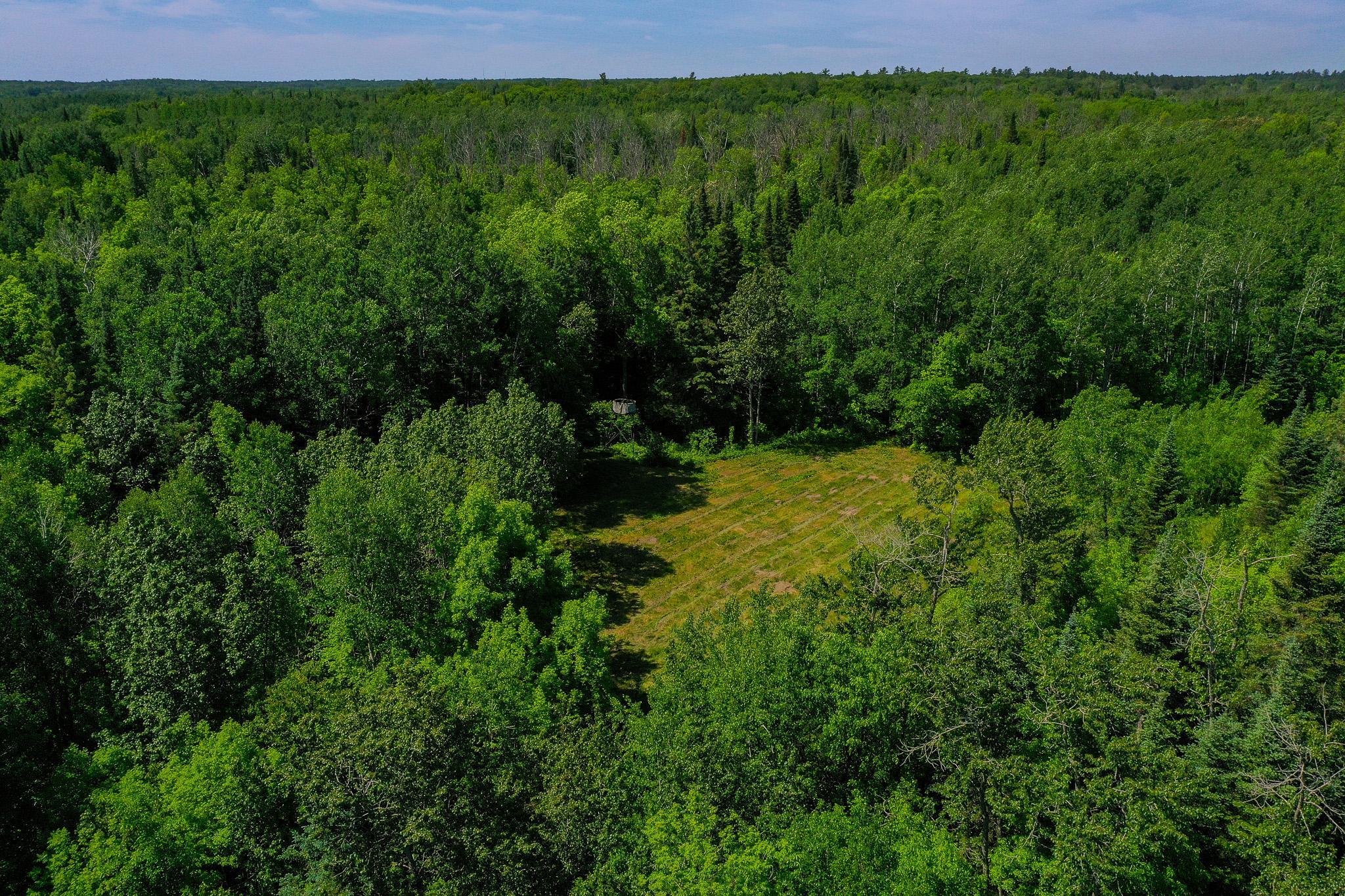 DJI_0727.jpg