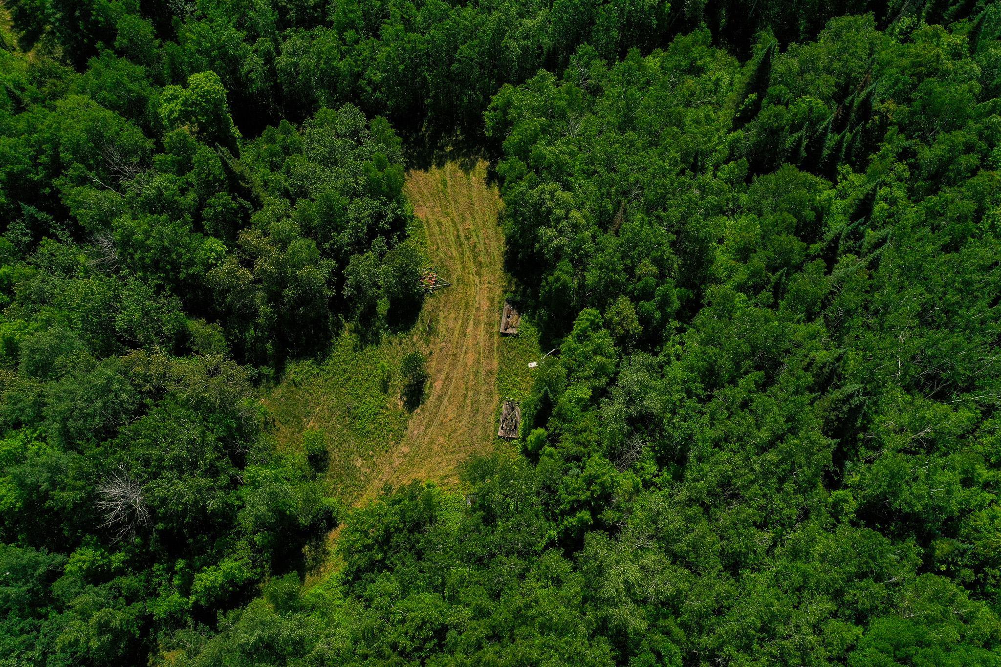 DJI_0730.jpg
