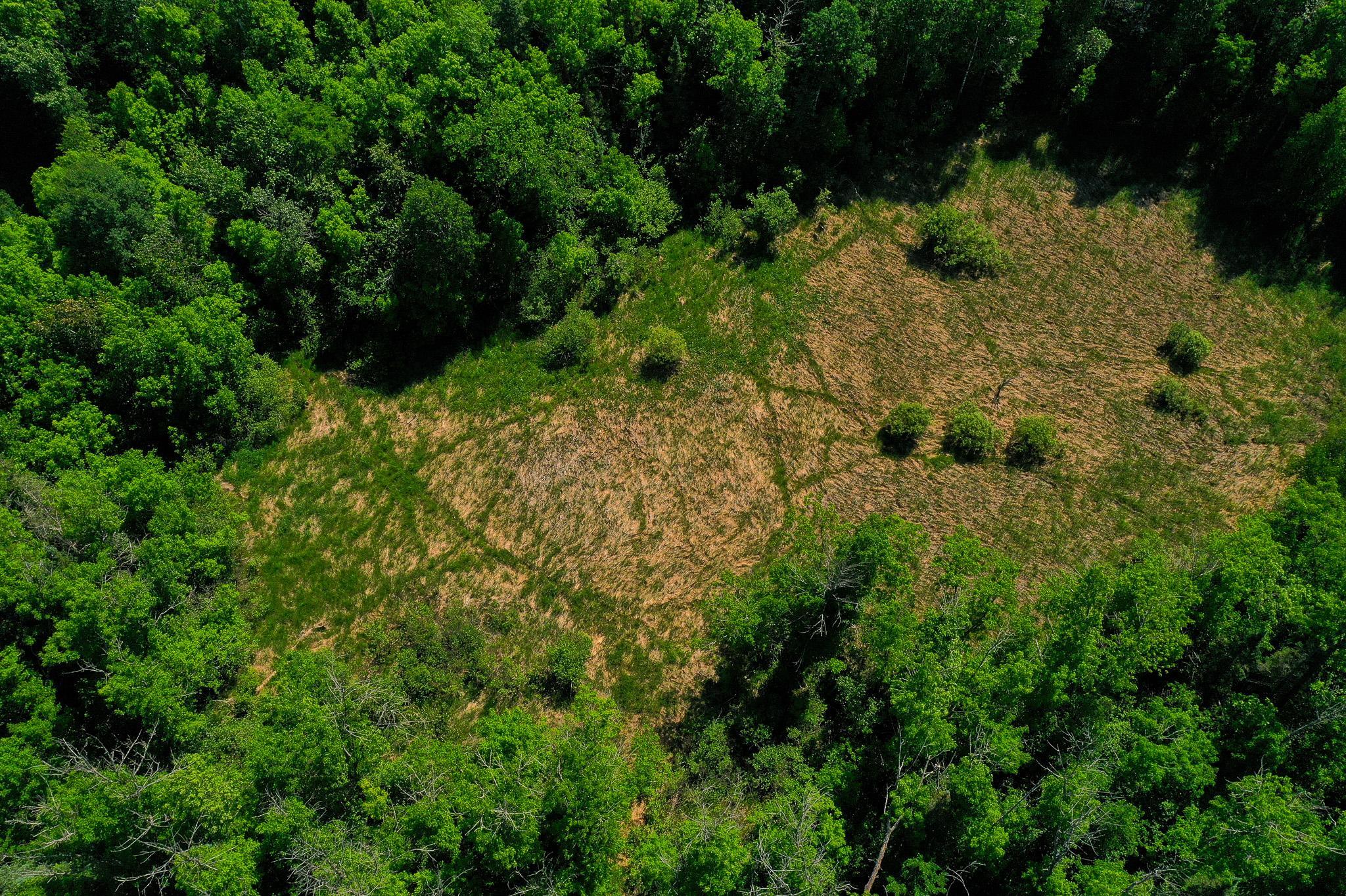 DJI_0722.jpg