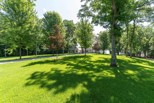 Just the Right Tree Coverage