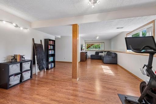 Abundant natural light fills the spacious lower-level family room through large lookout windows.