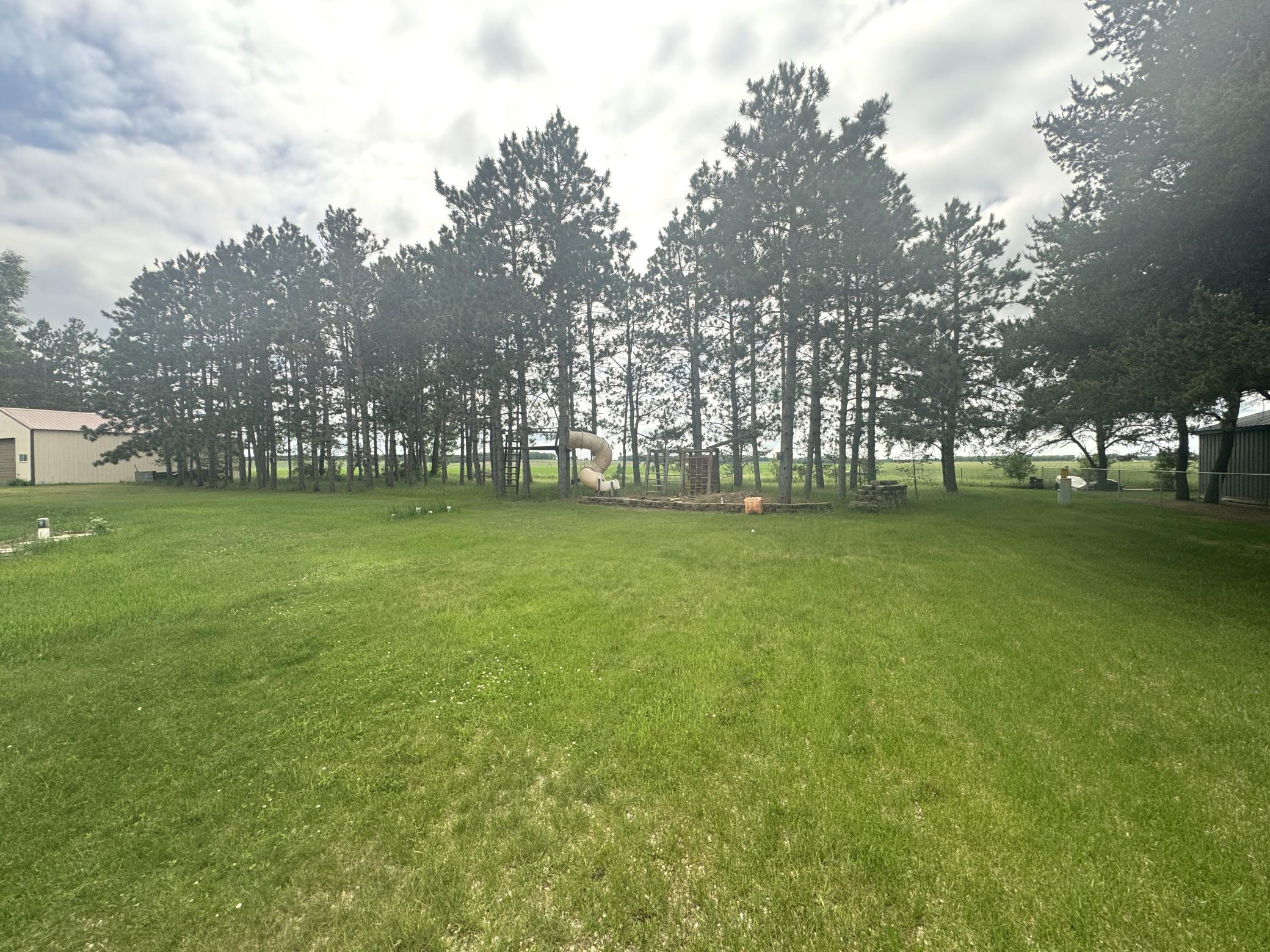 Backyard.JPG