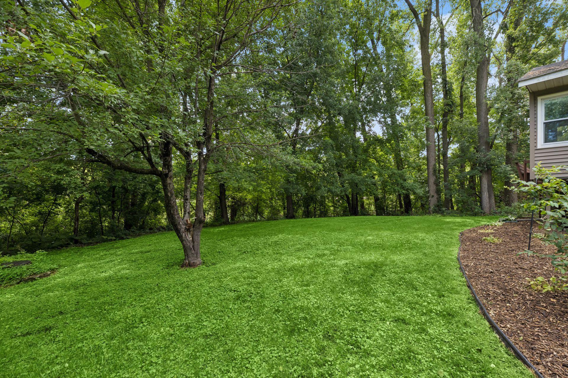 Another look at the gently sloped backyard, offering plenty of open green space for outdoor activities, lawn games, and gardening!