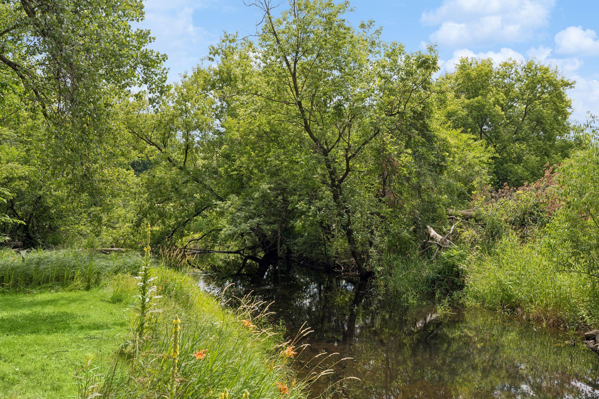 A peaceful little creek (Lake Johanna/Josephine Creek stream) runs right along the property, giving you a beautiful, quiet slice of nature in your own backyard!