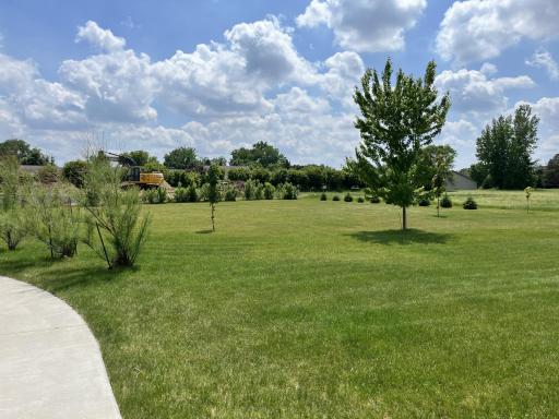 2nd lot tree line.jpg