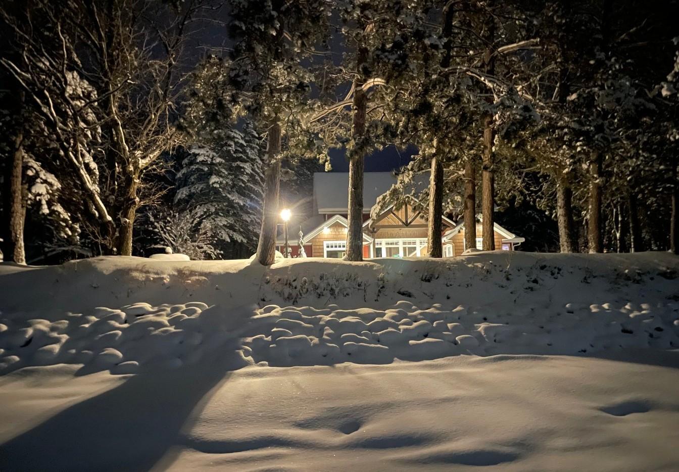 Winter wonderland