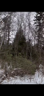 Land.png