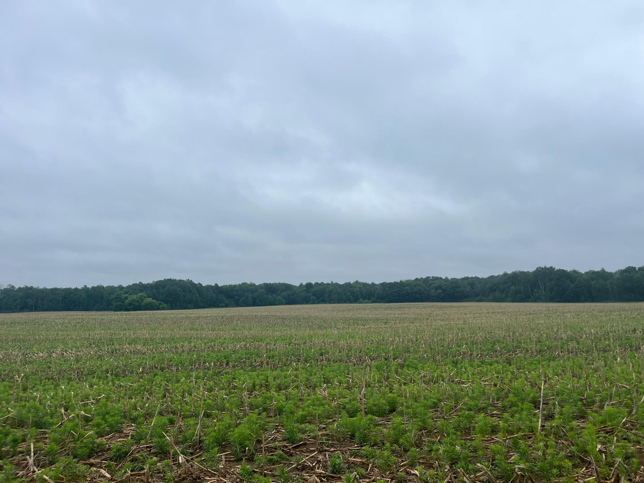 9.77 acre lot in North Branch!