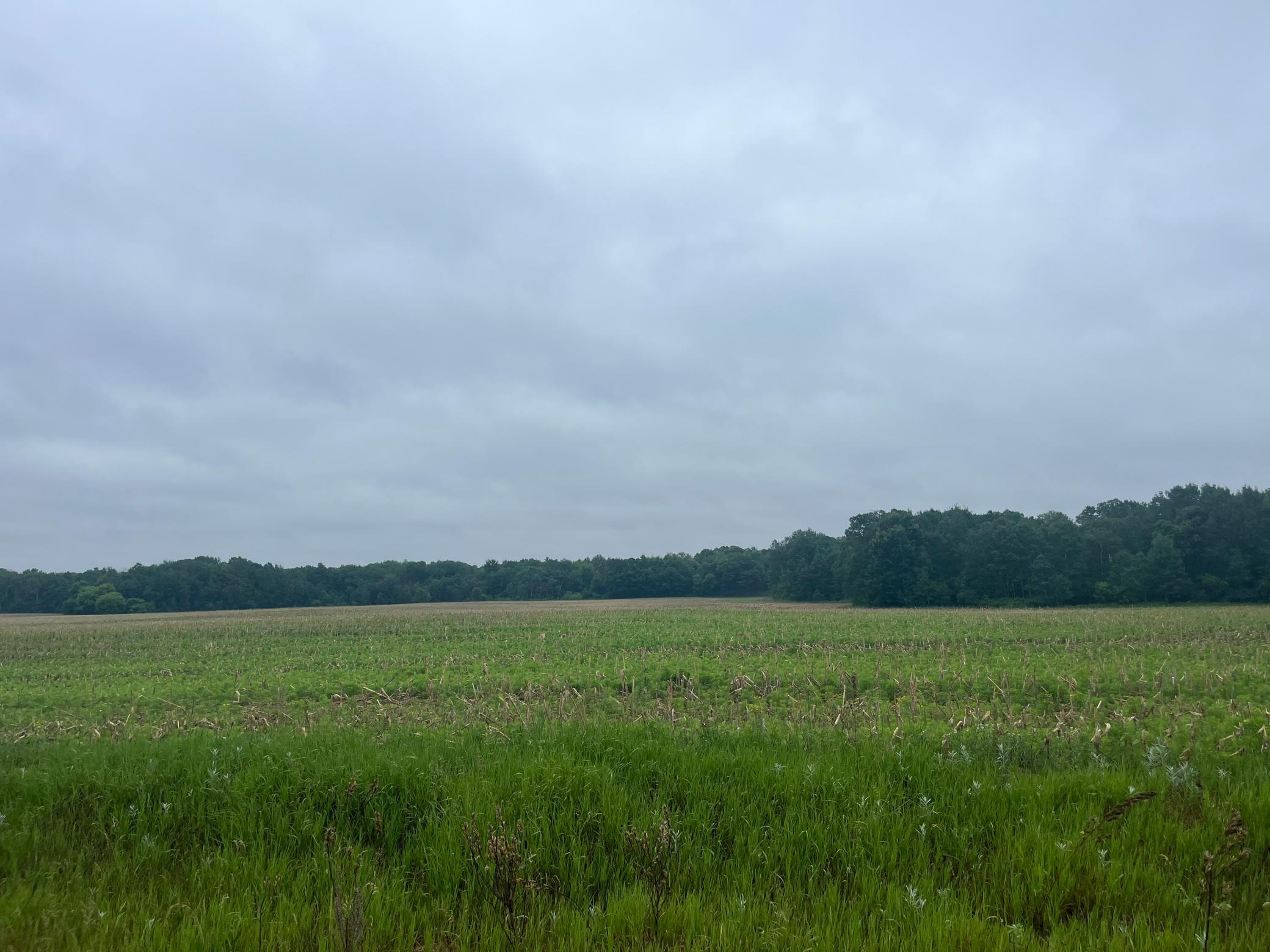 9.77 acre lot in North Branch!