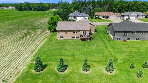 Fantastic, backyard offers lots of room to run and play.