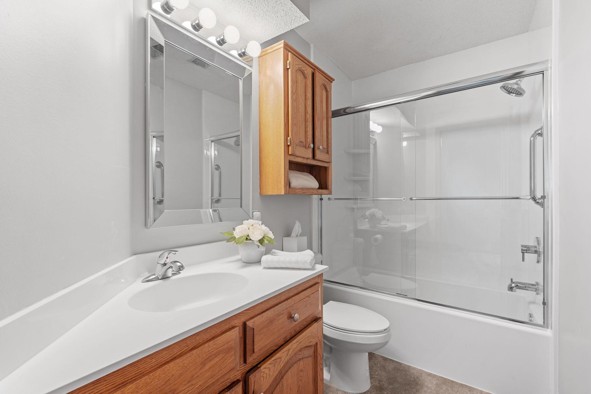 NEW shower, toilet, coutertop, mirror, and lighting!