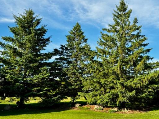2441 Highland Trail SW, Alexandria, MN 56308