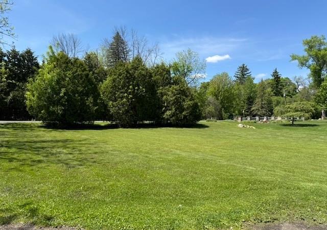 Side yard