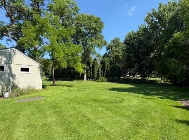 Backyard with shed
