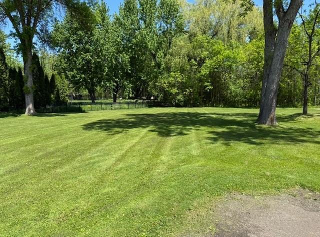 Backyard view