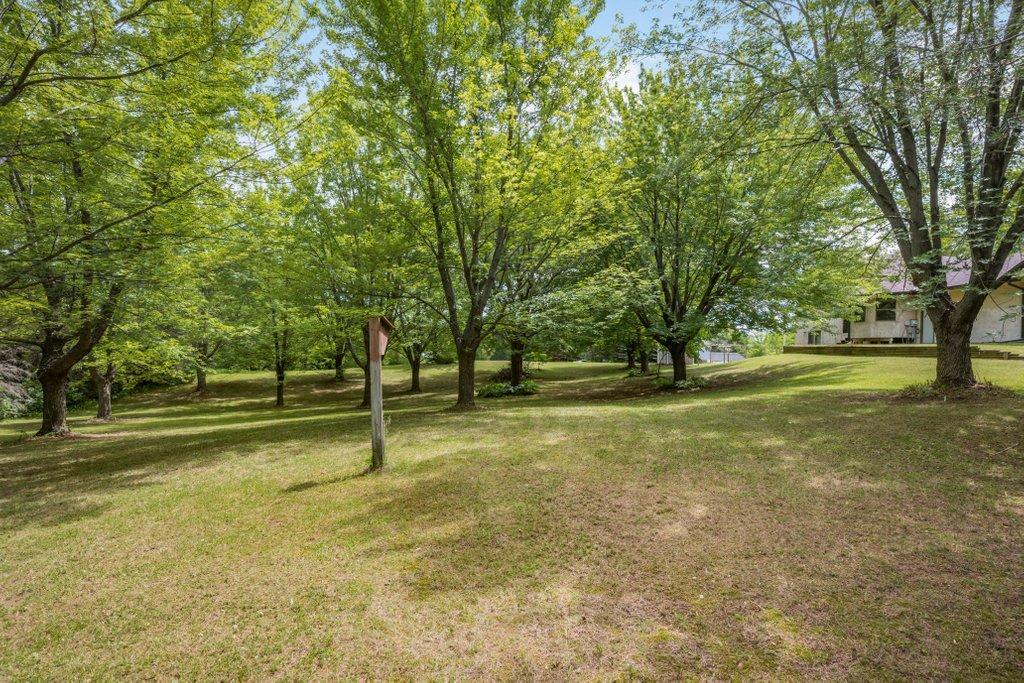 Now you see the Nature and Privacy of Your Backyard.