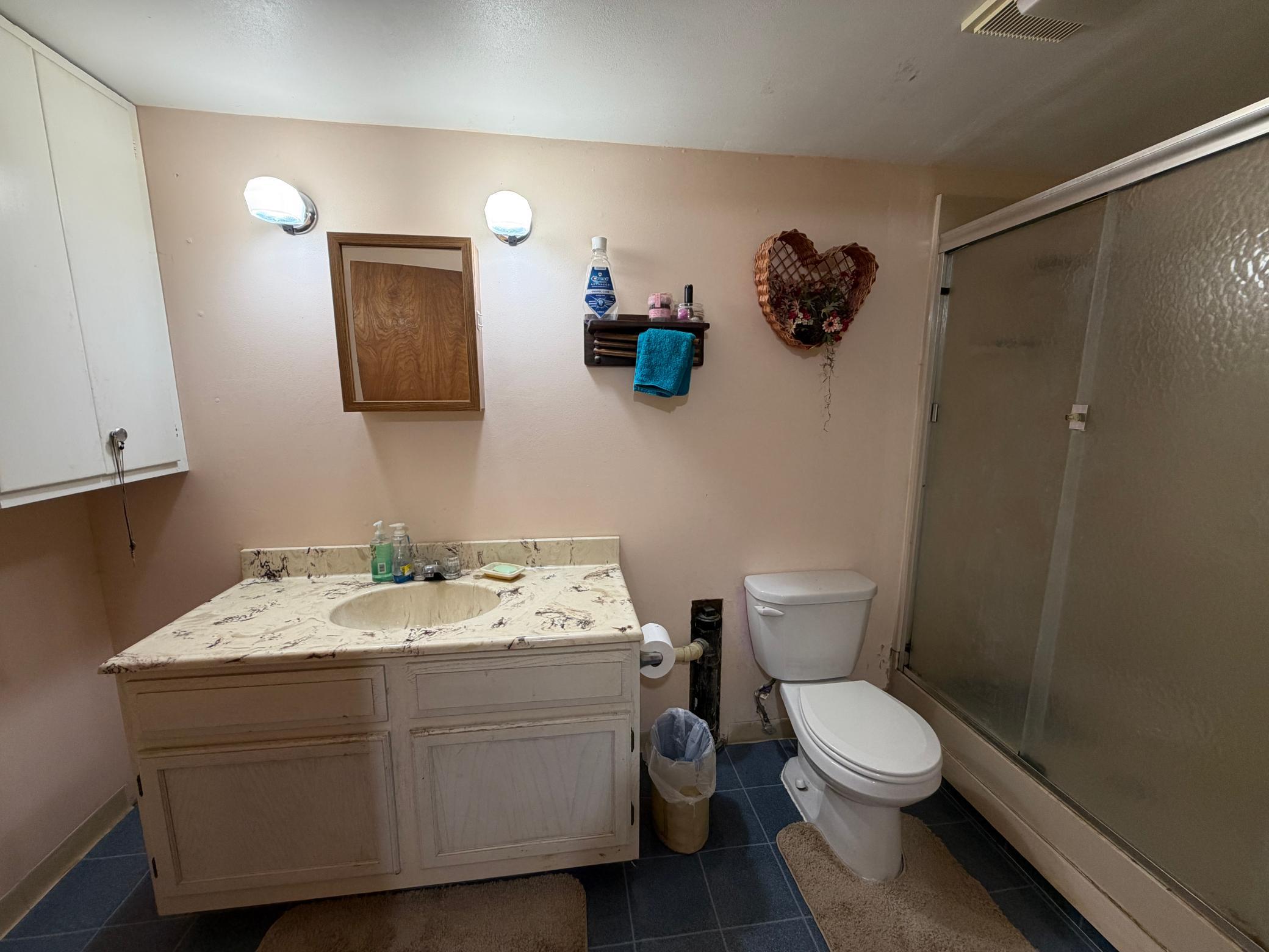 Basement 3/4 Bathroom