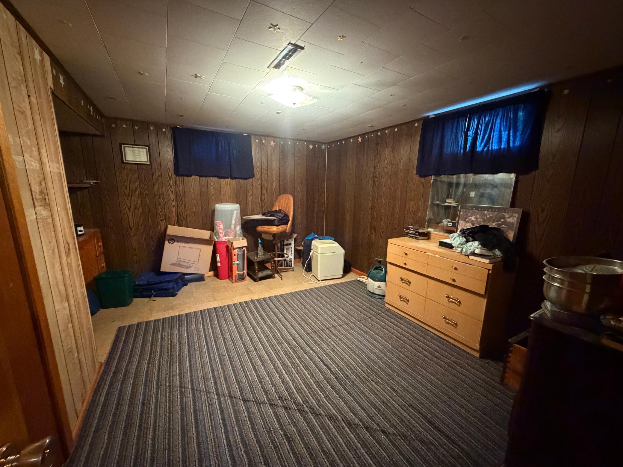 Basement Flex Space