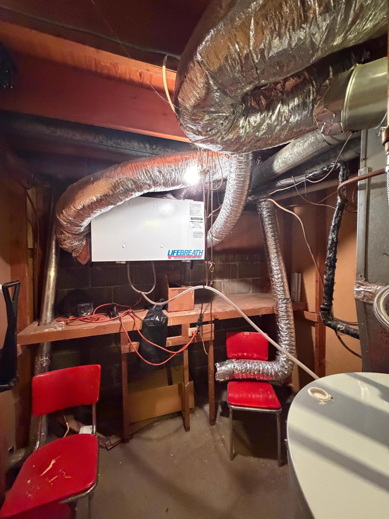Basement